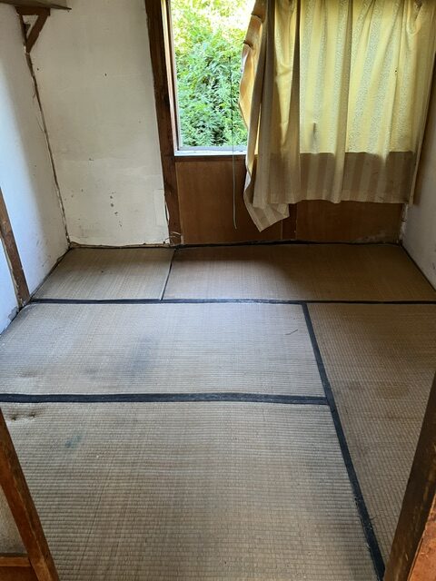 整理を終えた後の畳の部屋